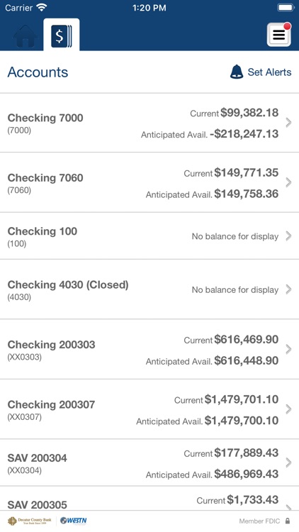 Decatur County Bank Biz screenshot-3