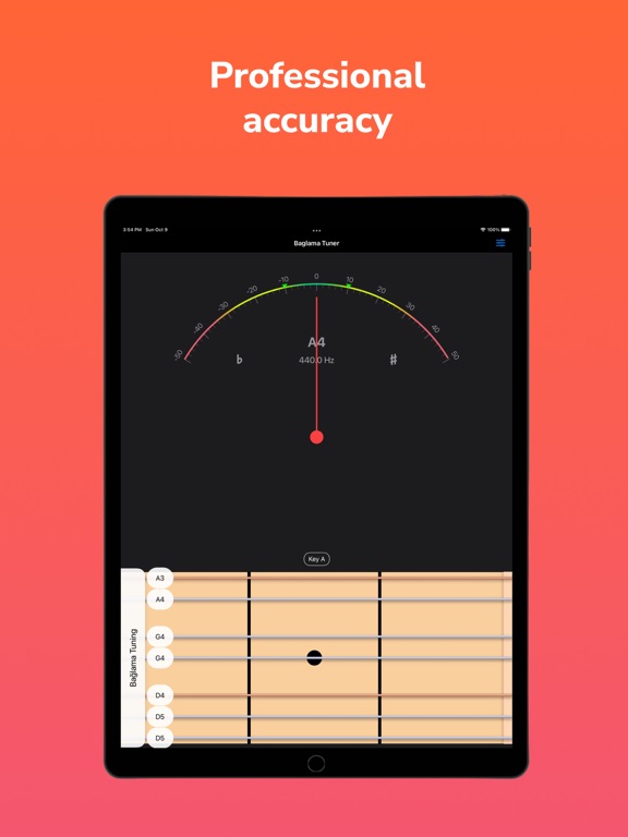 Screenshot #4 pour Bağlama Tuner