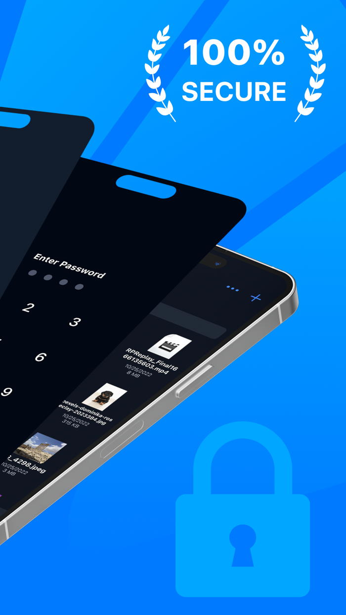 SNS Secure phone and Data