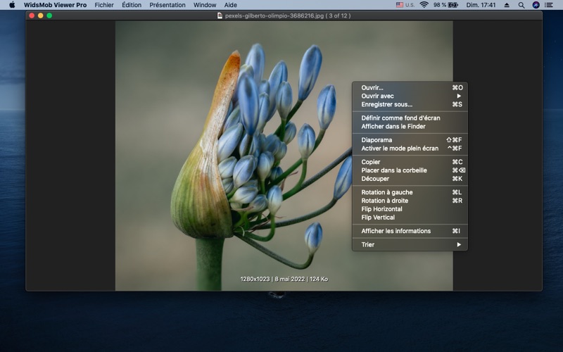 Screenshot #3 pour WidsMob Image Viewer