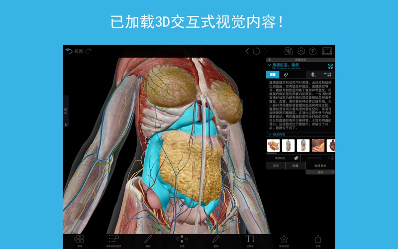 3D人体解剖学图谱