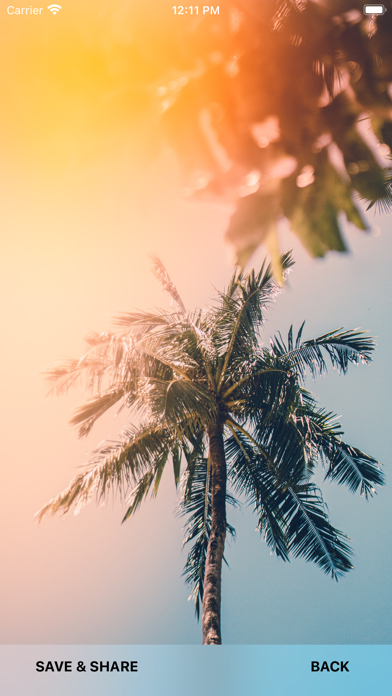 Summer Wallpapers 2024 Screenshot
