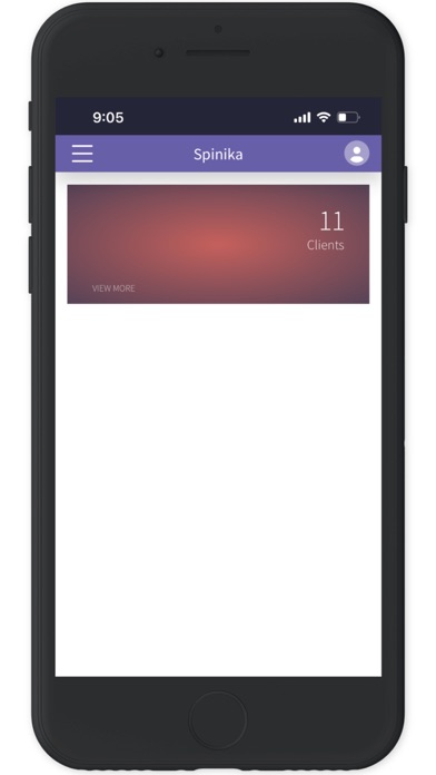 Spinika Professional Screenshot 2 of 3