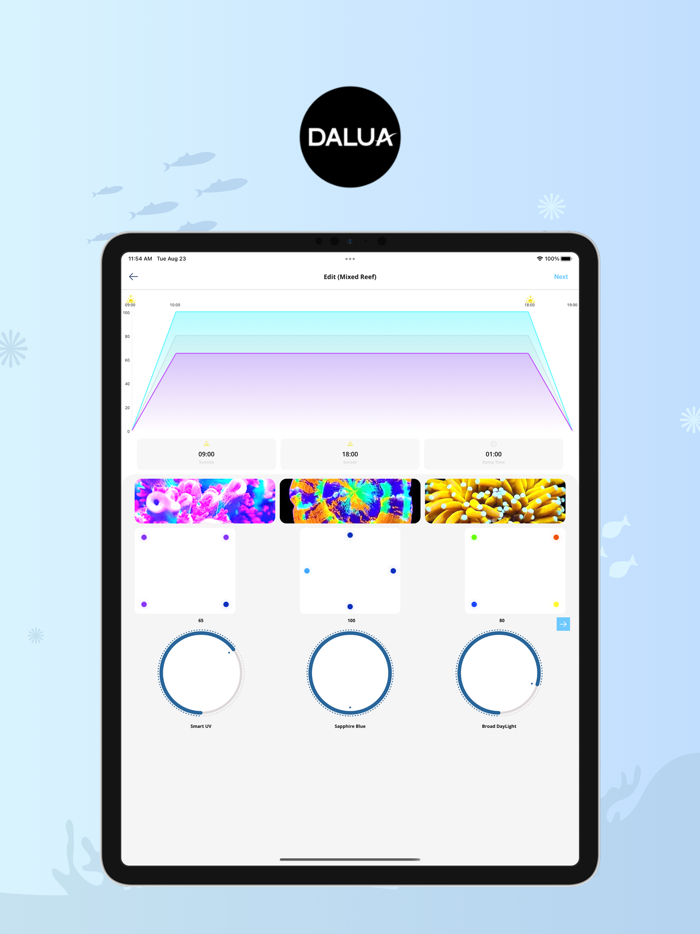 Dalua Ecosystem