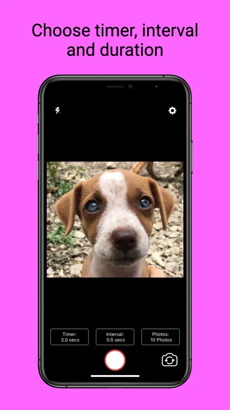 Selfier -Take handsfree photos screenshot 3 of 5