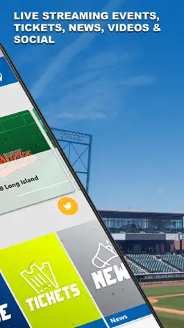 Game screenshot York Revolution apk