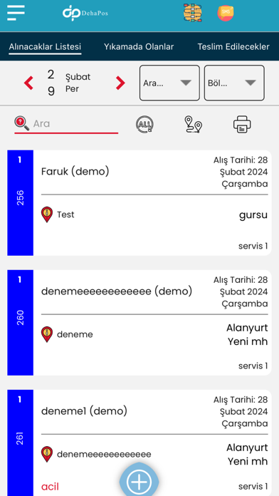 Dehapos Hali Yikama Programi Screenshot
