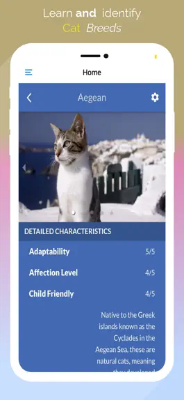 Game screenshot Cat Breeds guide and quiz apk