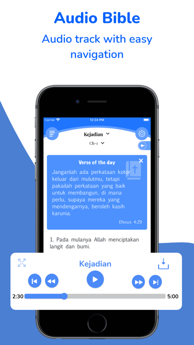 Alkitab Bahasa Indonesian* Screenshot