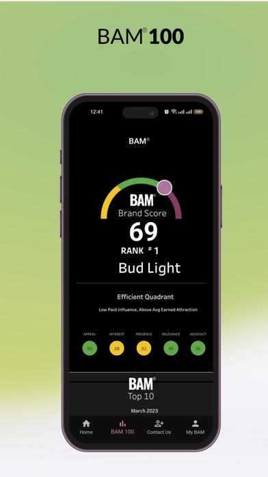 BAM Brand Monitor Screenshot