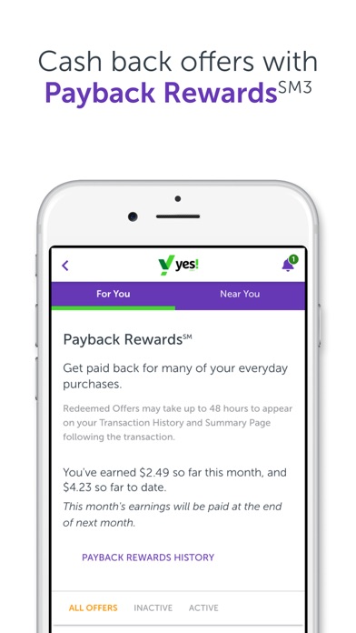 Yes! Debit Screenshot