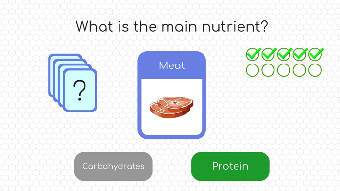 Human Body Adventure Game