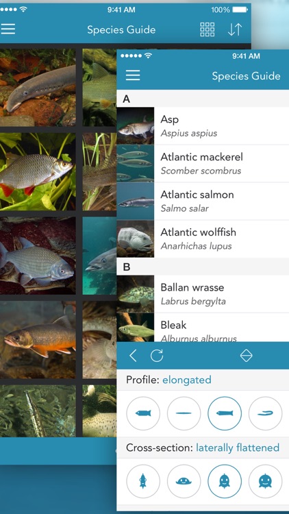 Fishes PRO - Field Guide