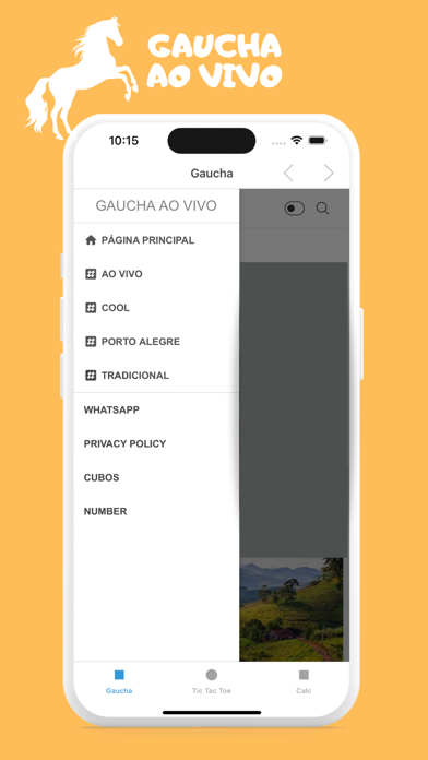 Gaúcha Porto Alegre Ao VIVO Screenshot
