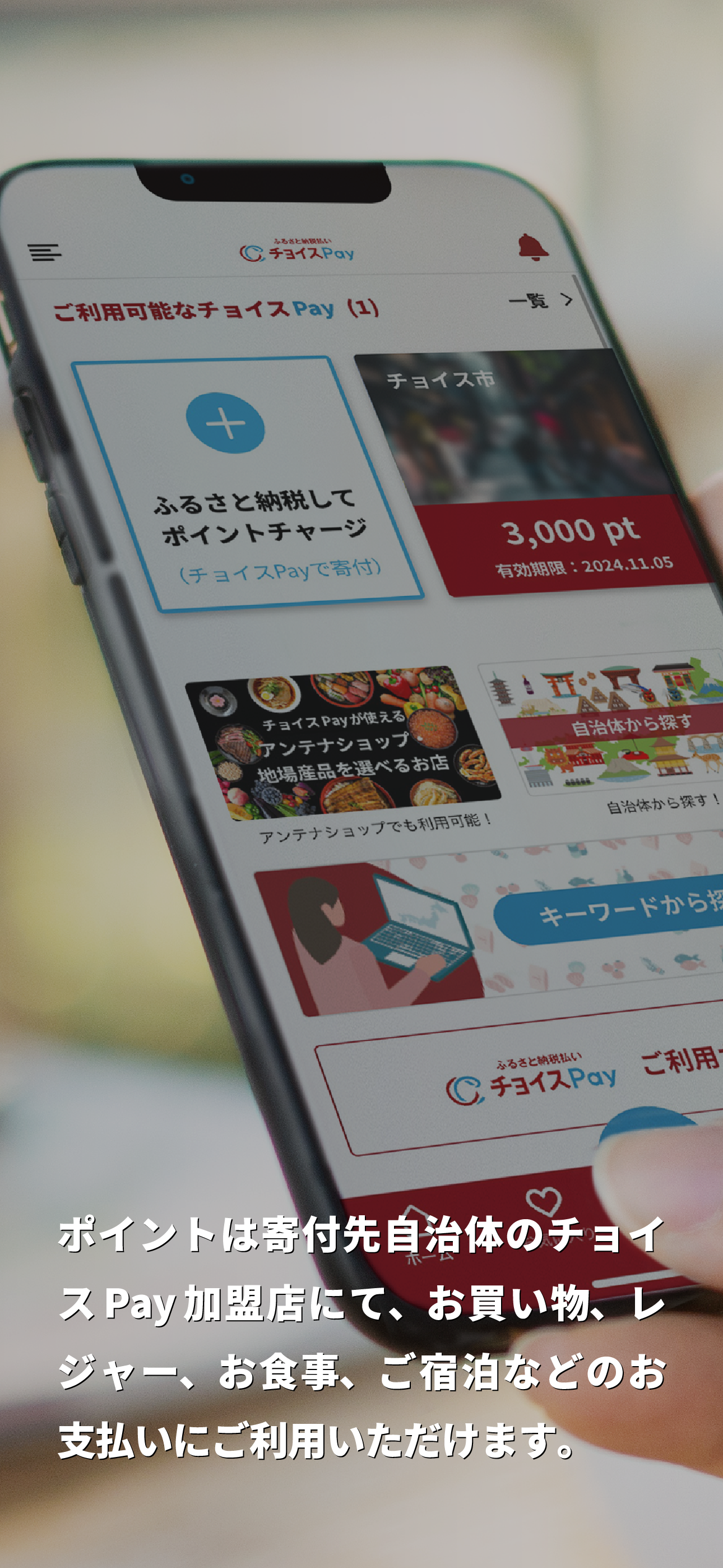 ふるさと納税払い チョイスPay