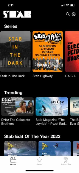 Game screenshot Stab Premium mod apk