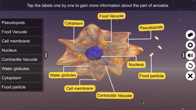 Screenshot #2 pour Nutrition in Amoeba
