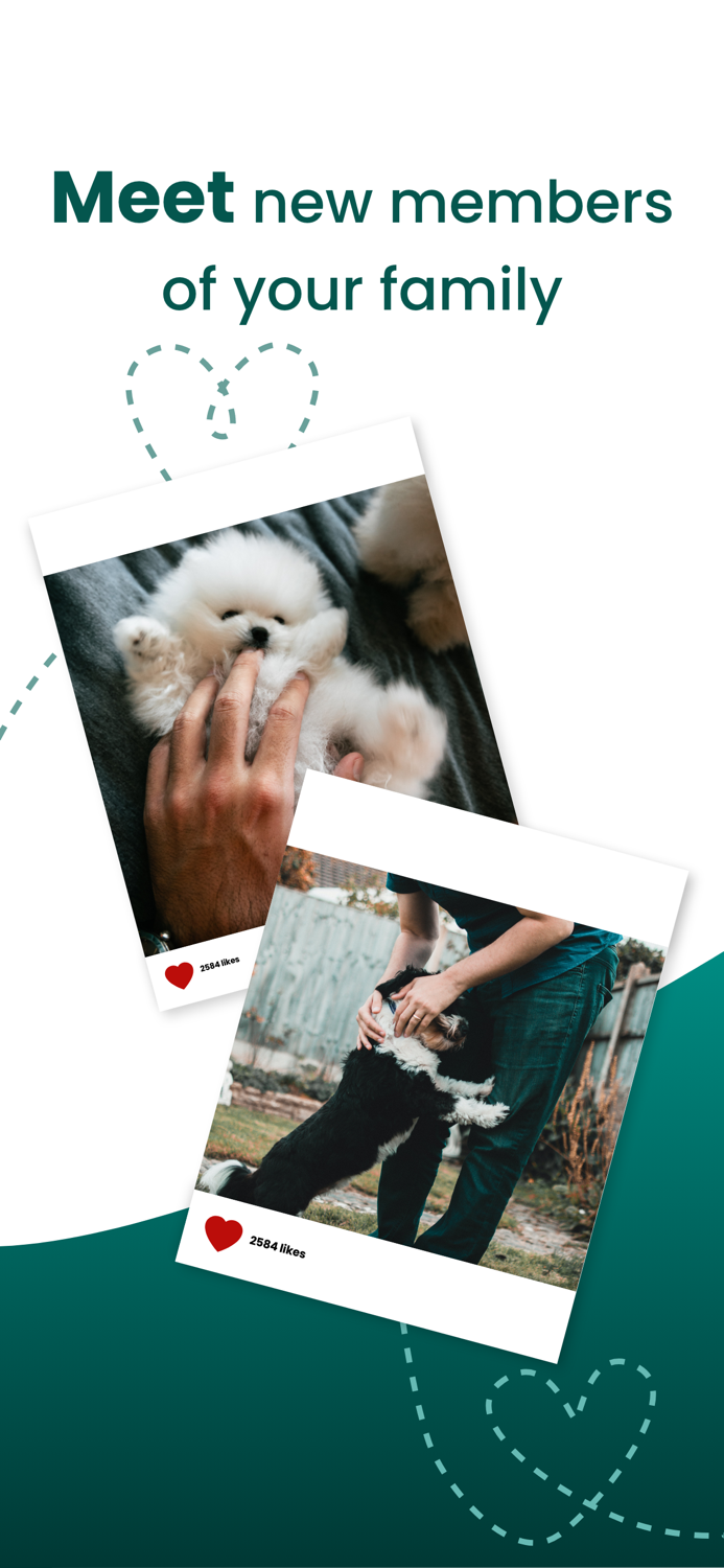 Pet Match - Breeding Adoption