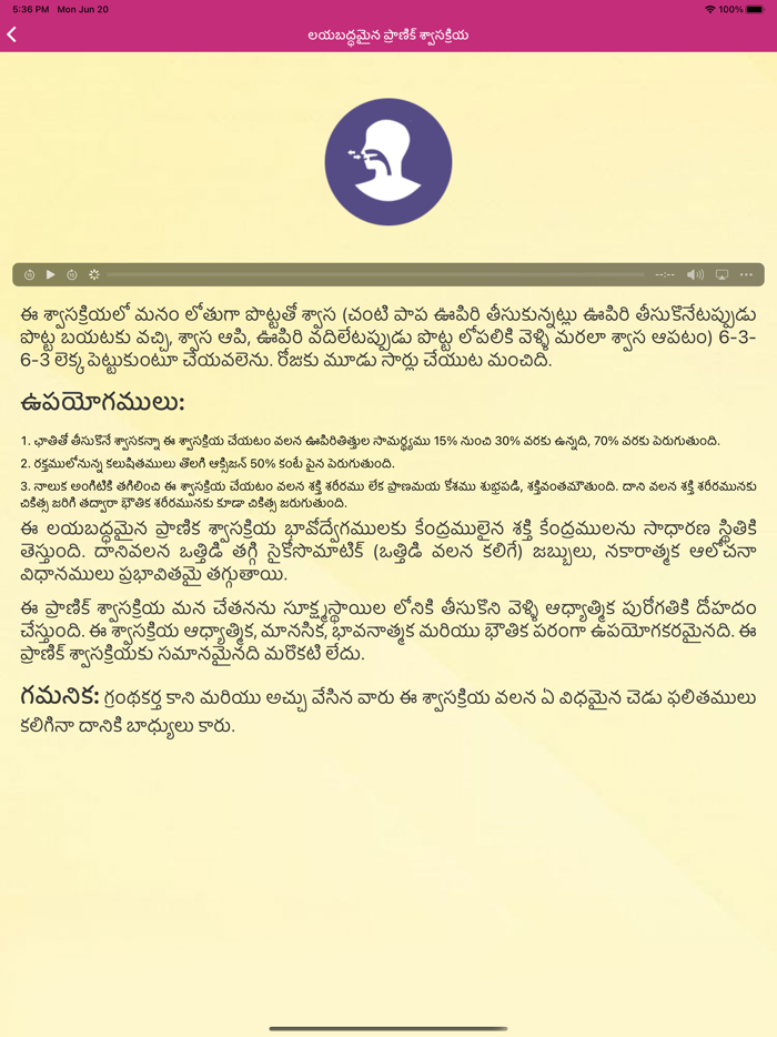 YPV Sadhana - Telugu