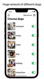 doggos widget айфон картинки 3