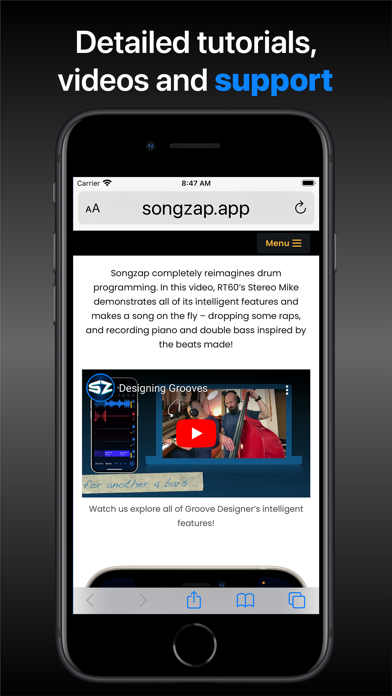 Songzap (Trial Version) Screenshot