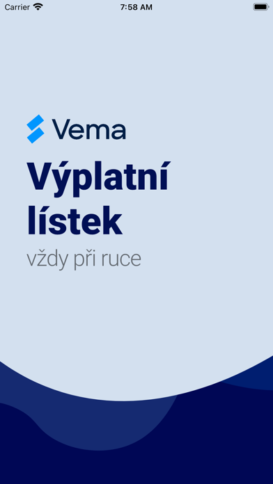 Výplatní lístek Screenshot
