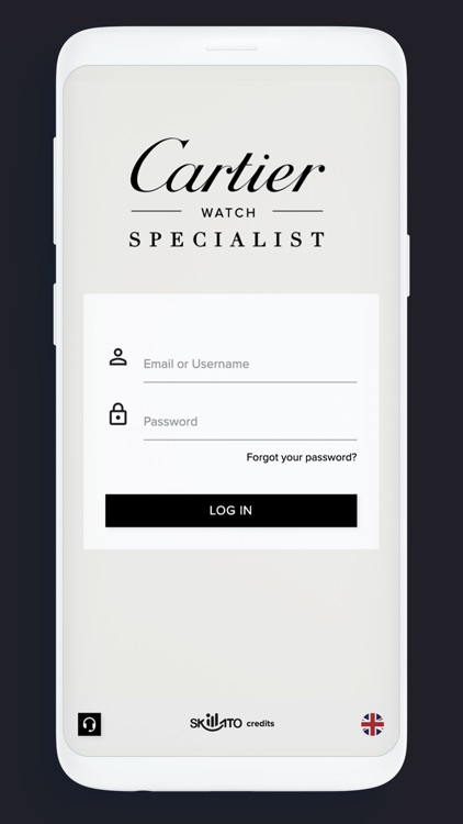 Cartier Watch Specialist