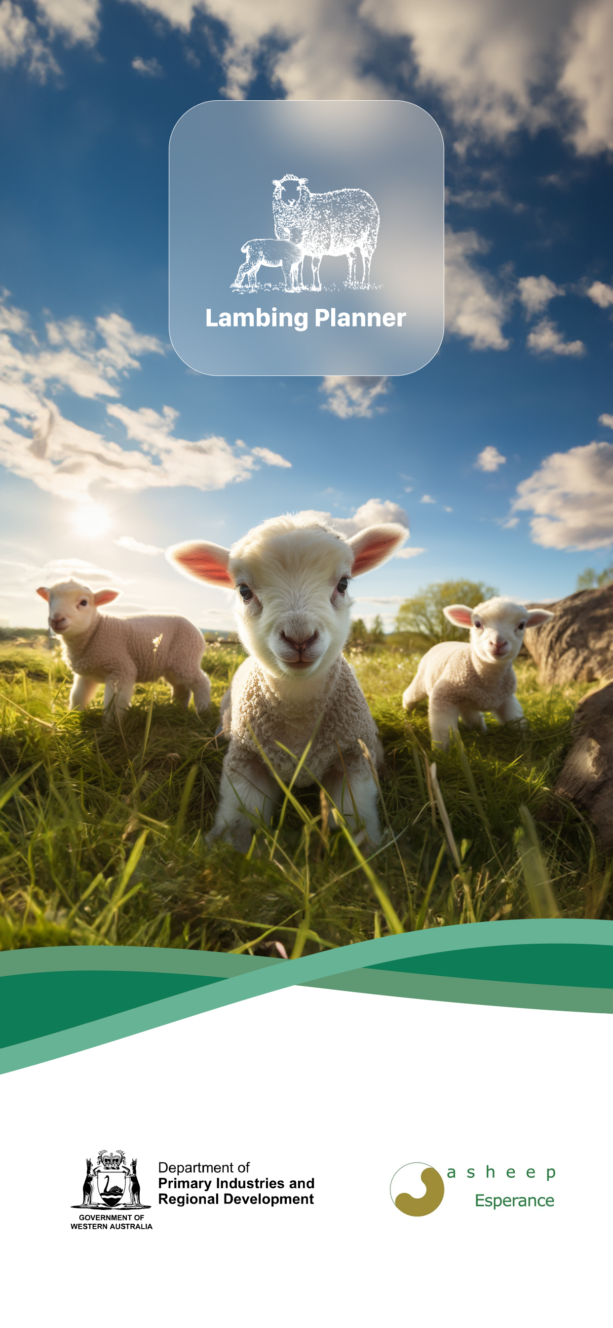 Lambing Planner
