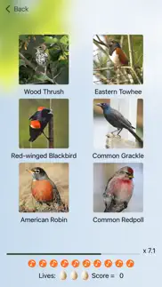 chirp! bird songs canada problems & solutions and troubleshooting guide - 2