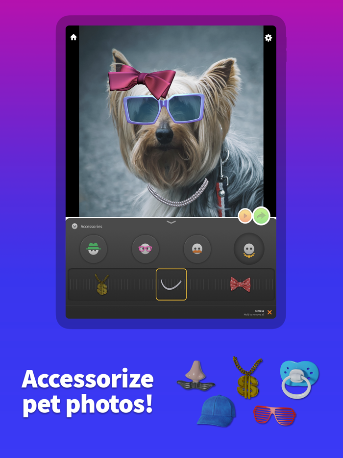 Pet Animator - Send eCards