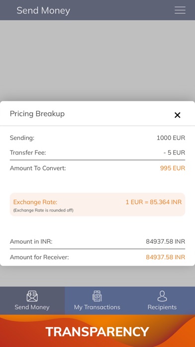 Money2India (Europe) Screenshot