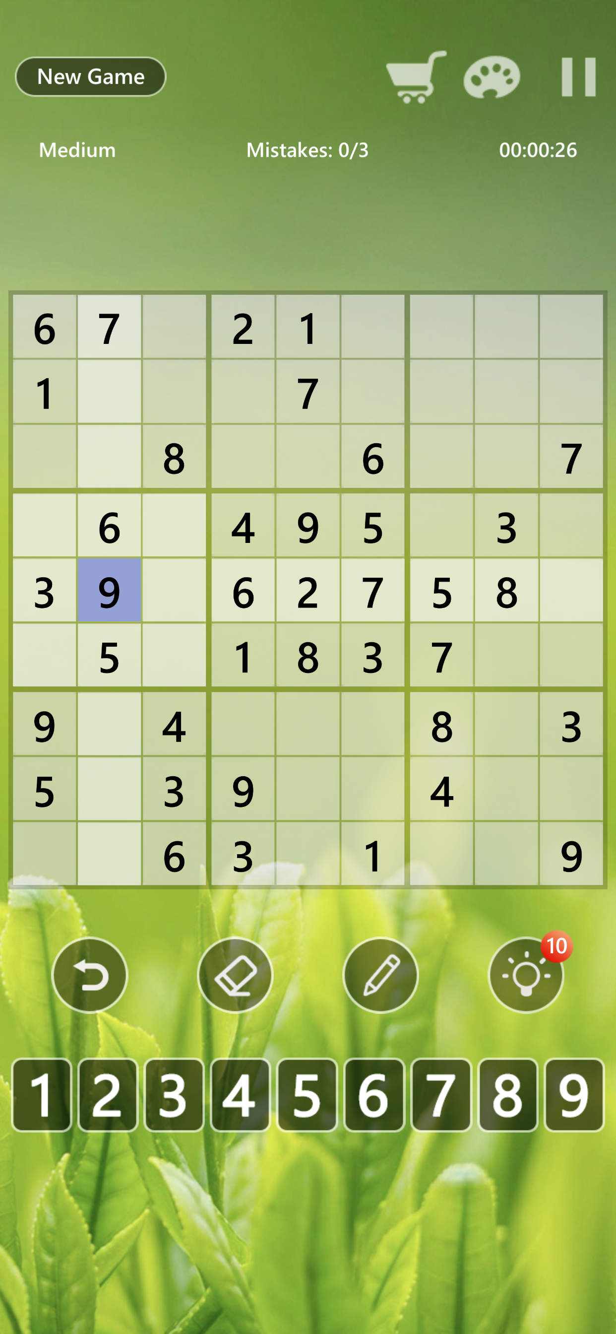 Sudoku - Number Puzzle