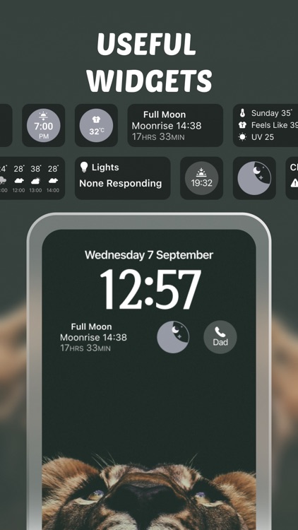 DIY Widgets: Color Lock Screen