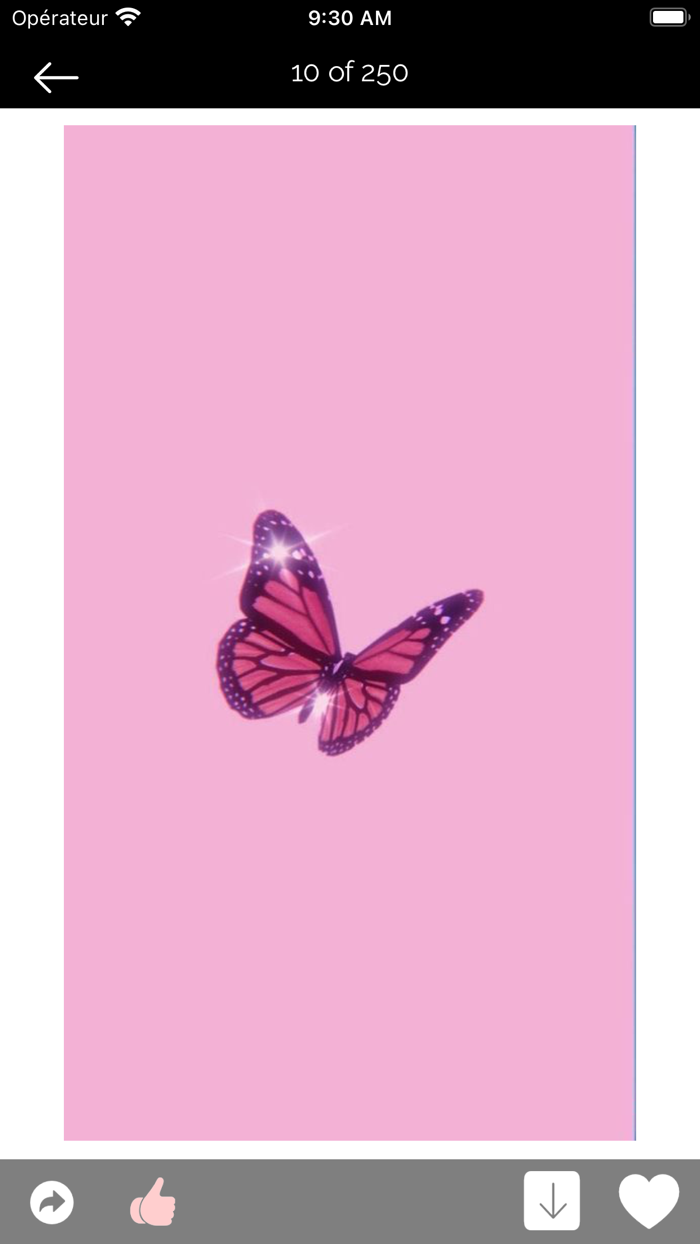 Rose Gold Wallpapers