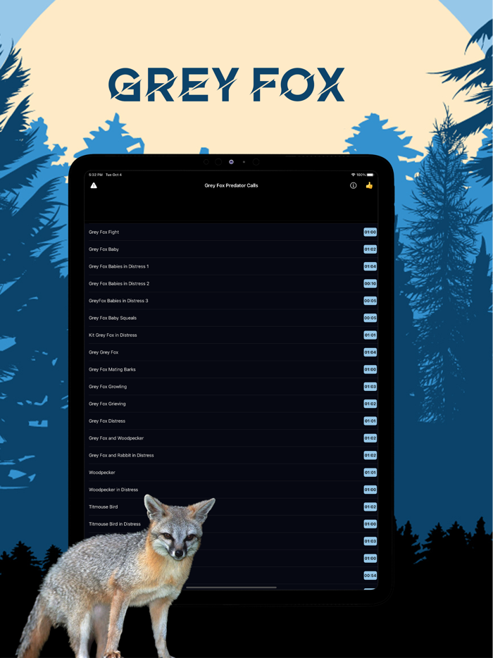 Grey Fox Magnet