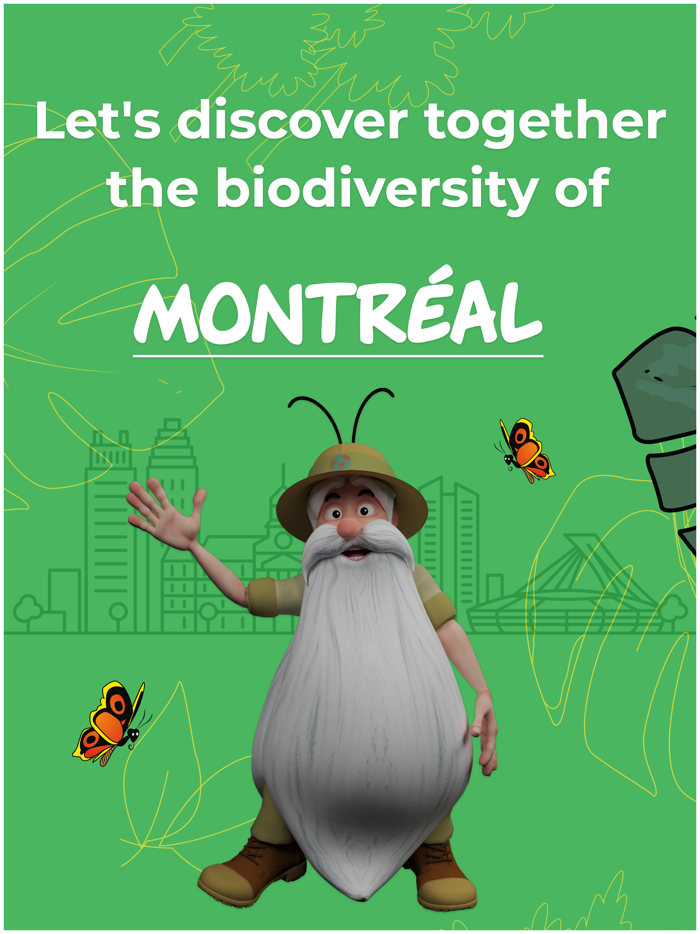 Hello Maestro Montréal