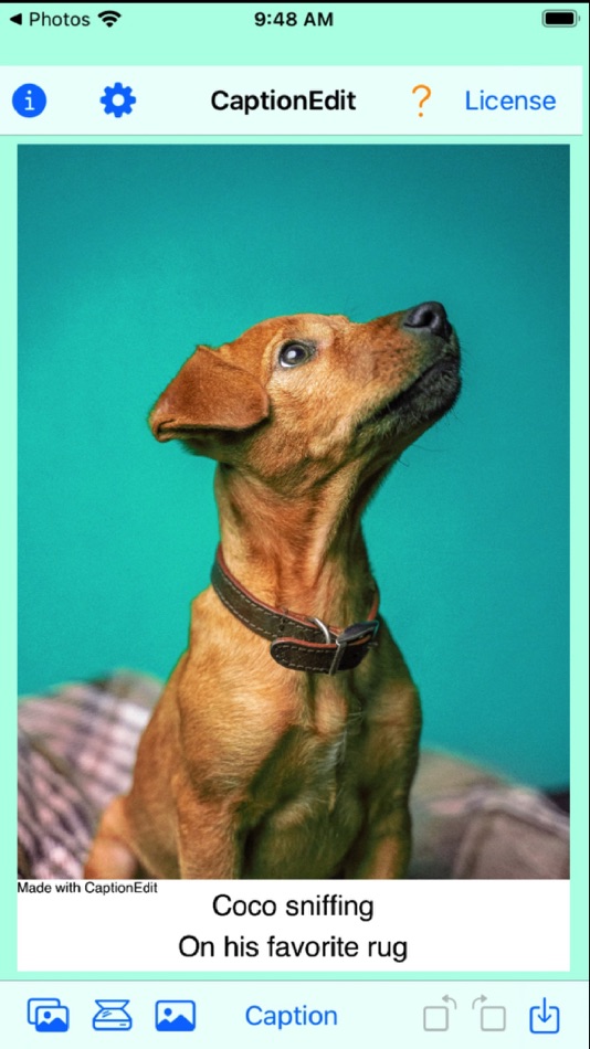 #3. CaptionEdit (iOS) 由: Aleka Consulting Pty Ltd