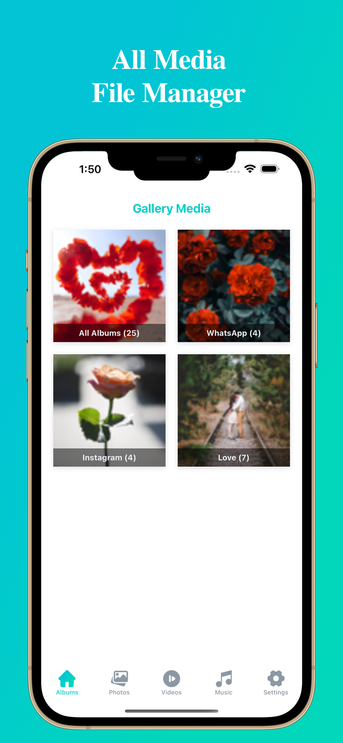 All Media File Manager