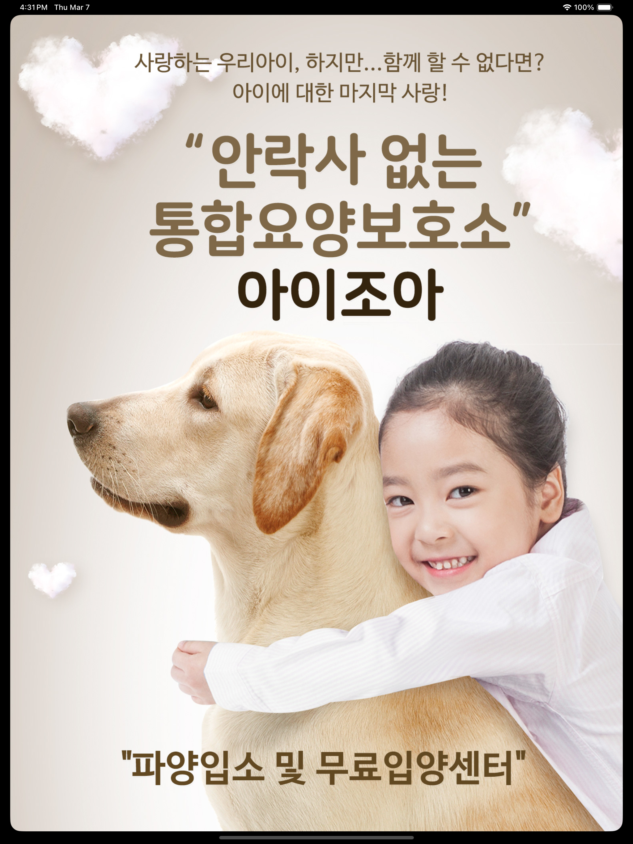 아이조아요양보호소-강아지파양보호,강아지무료분양&입양앱