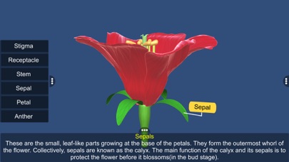 Screenshot #3 pour Parts of Flower