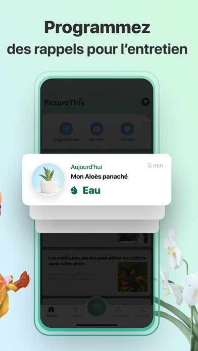 PictureThis-Identifier Plantes PictureThis-Identifier Plantes