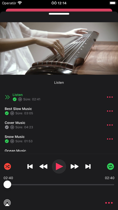 Screenshot #1 pour Cloud Music Drive