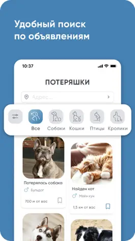 Game screenshot Потеряшки mod apk