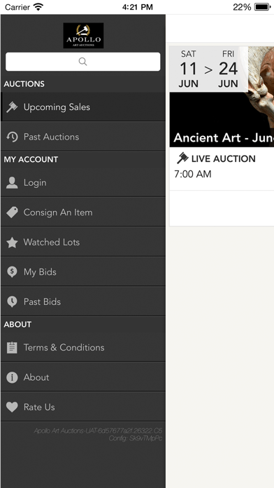 Apollo Art Auctions iPhone screenshot 4 - Shopping app