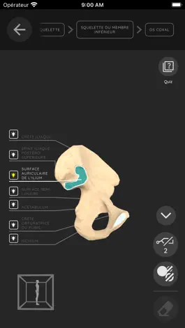 Game screenshot AnatoPass apk