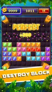 jewel block brick puzzle iphone screenshot 4