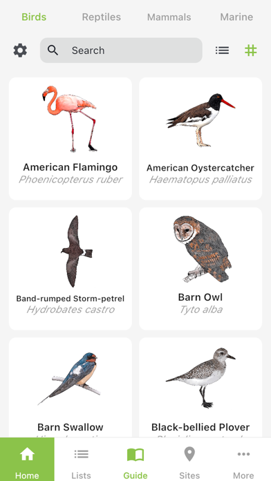 Galapagos Wildlife Guide Screenshot