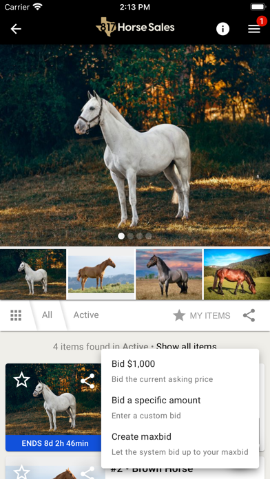 817 Horse Sales Screenshot