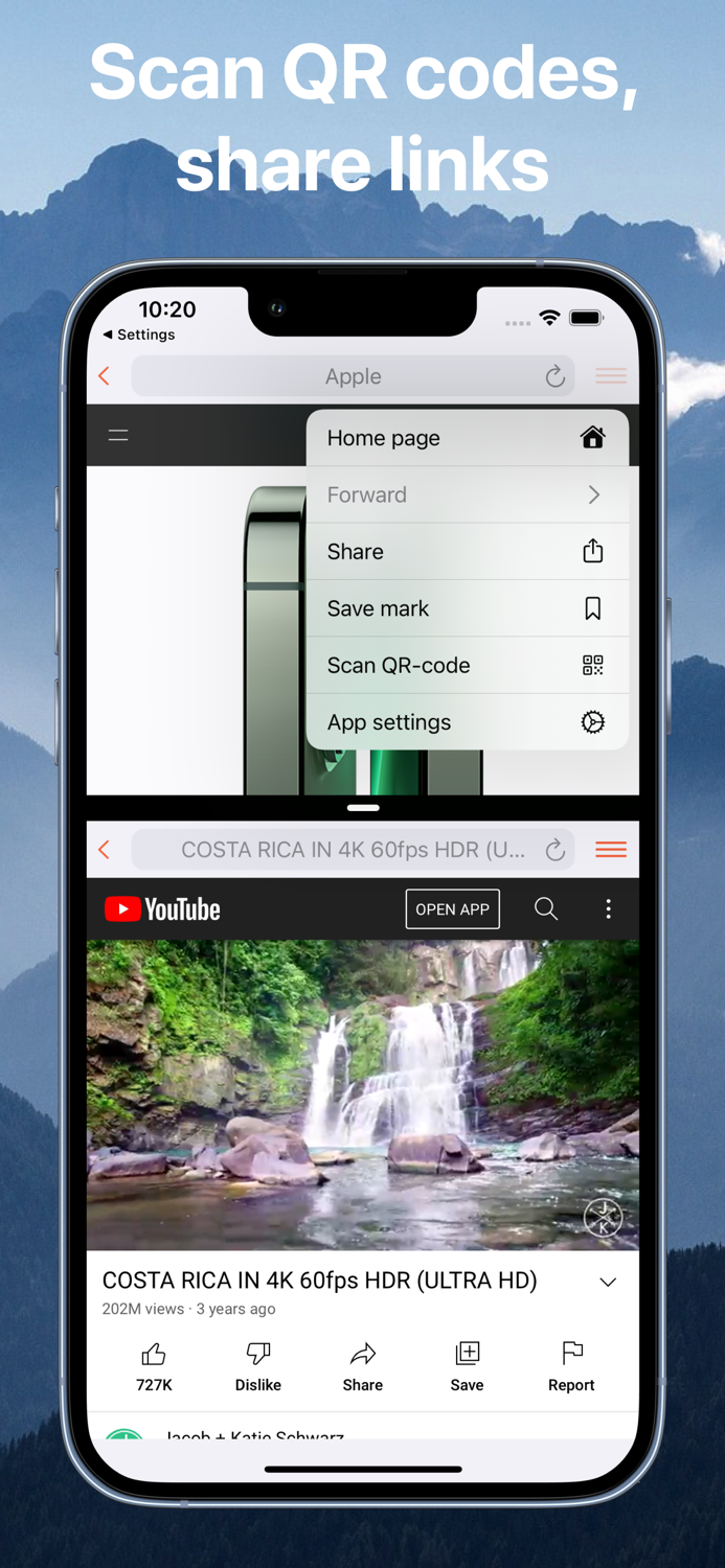 Split web browser screen view