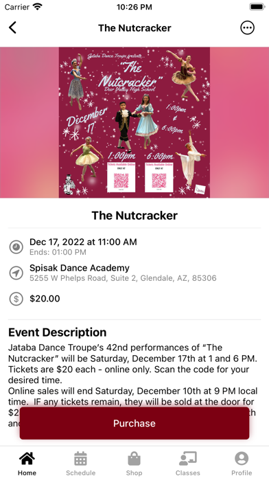 Spisak Dance Academy Screenshot